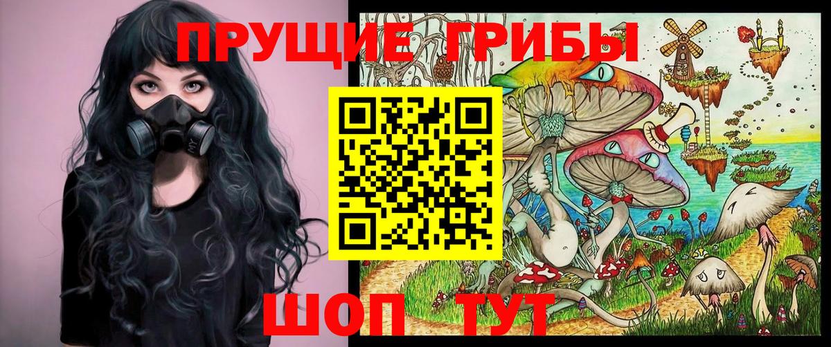Псилоцибиновые грибы ЛСД Дубна