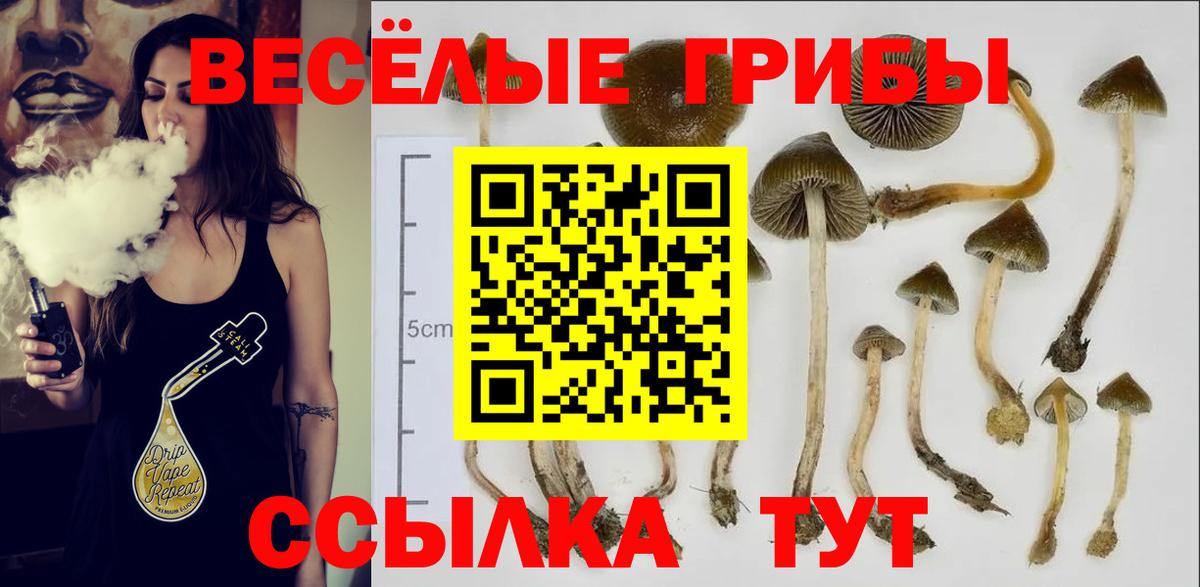 Галлюциногенные грибы Cubensis  Галлюциногенные грибы мухоморы  Вход с VPN  Дубна 